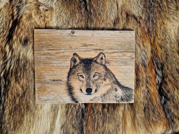 Wolf painting on old wood
