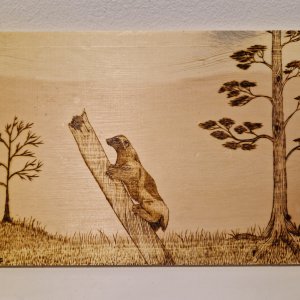 Wolverine pyrography