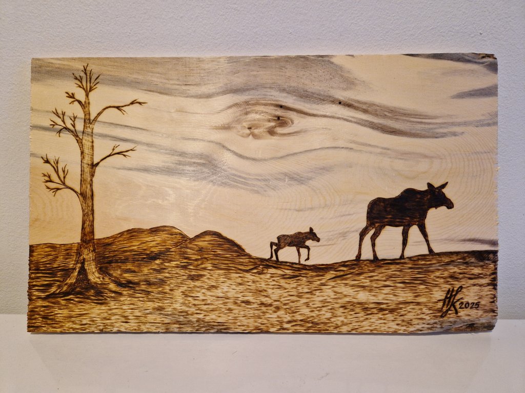 Hirvet polttopiirros