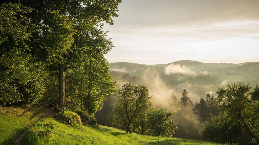 Niederösterreich