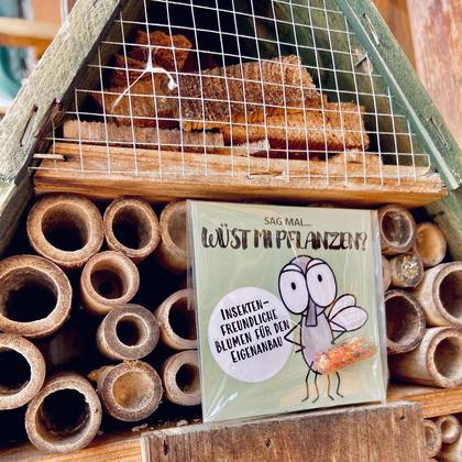 Sag mal "Wüst mi Pflanzen?" GRÜMI inkl. Blühanleitung