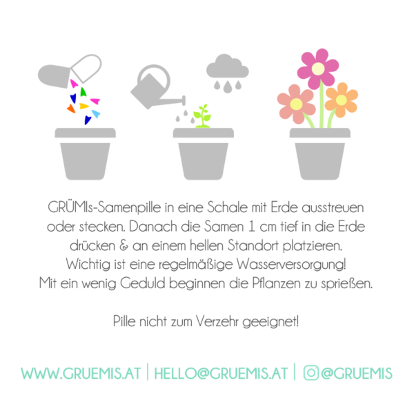 "Einfach mal die Kresse halten" GRÜMI inkl. Blühanleitung - Image 4