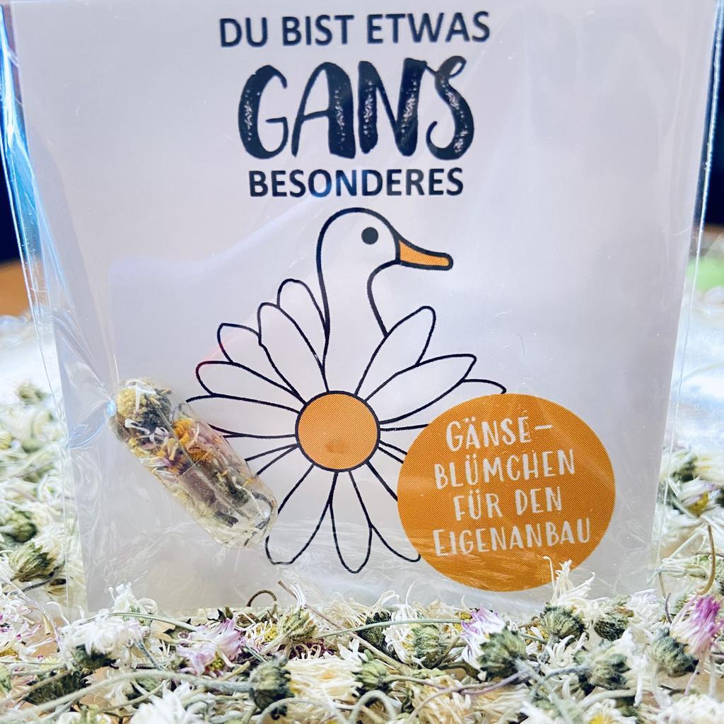 "Du bist etwas Gans besonderes" GRÜMI inkl. Blühanleitung