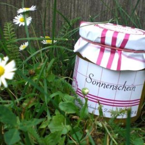 Sonnenschein Fruchtaufstrich