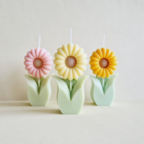 Gänseblümchen Kerze