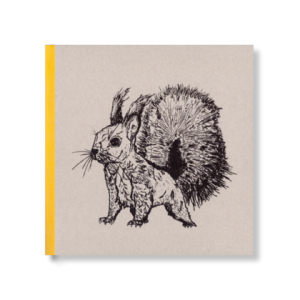 SKIZZENBUCH *Eichhörnchen*, 21 x 21 cm, 144 Seiten