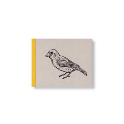 SKIZZENBUCH *Spatz*
