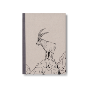 SKIZZENBUCH *Steinbock*, DIN A5, 144 Seiten