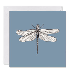 GRUSSKARTE *Libellenflug* , 14 x 14 cm