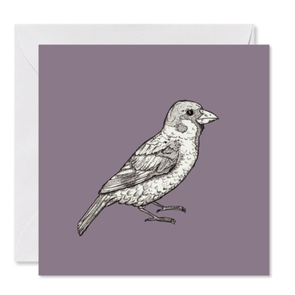 GRUSSKARTE lila *Herr Spatz*