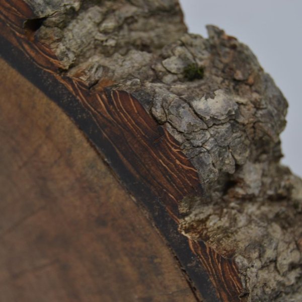 Holz Wanduhr 32x25 cm Holzuhr Walnuss Holzdeko Baumscheibenuhr handmade - Image 4