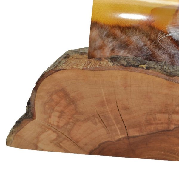 Holz Fotohalter Fotoständer Bilderhalter 28x9  Apfel Holzdeko Unikat Handarbeit - Image 2