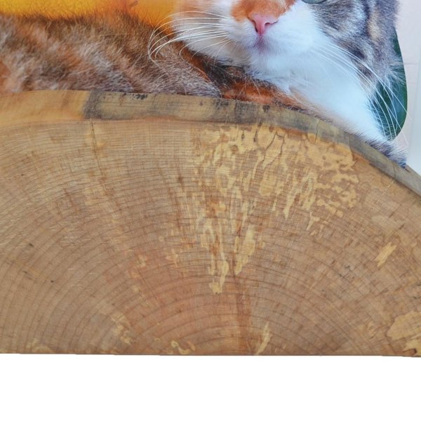 Holz Fotohalter Fotoständer Bilderhalter 22x9  Ahorn Holzdeko Unikat Handarbeit - Image 2