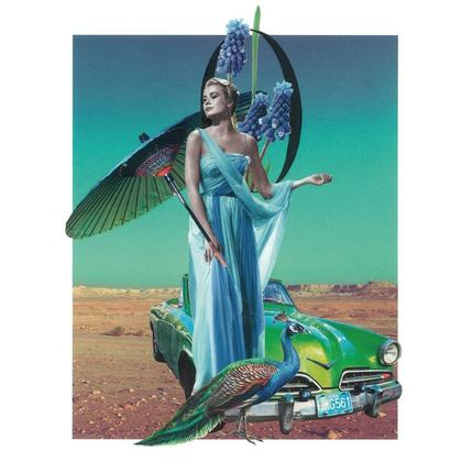 „Grace & der Pfau“