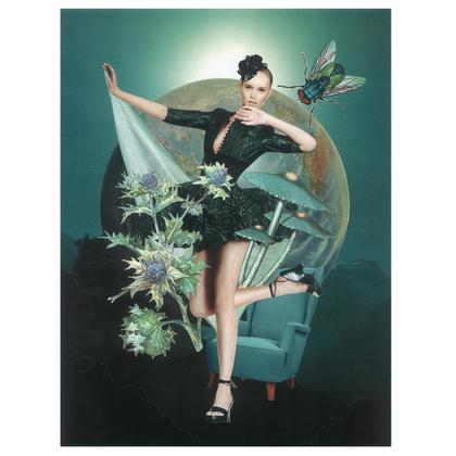 „Distel-Fliege“
