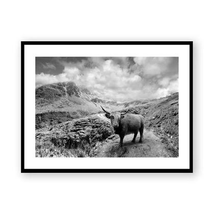 Fotodruck 'Martalm'