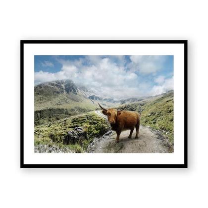 Fotodruck 'Martalm'