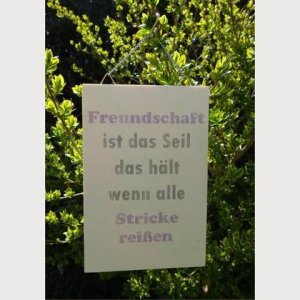Spruch-Holzschild „Freundschaft lila“