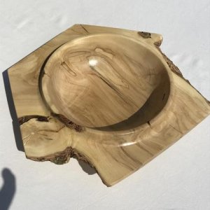 Hollunderschale