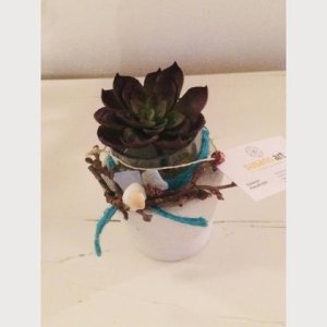 Übertopf Beton/Glas II