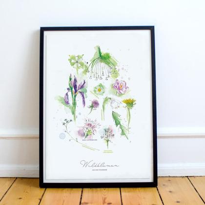 Kunstdruck Alpen Wildblumen aus der Steiermark