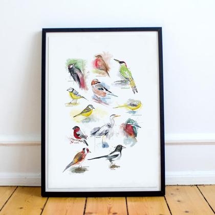 Schautafel heimische Vögel