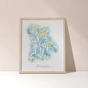 Kunstdruck Sommerjasmin, Blumenbild