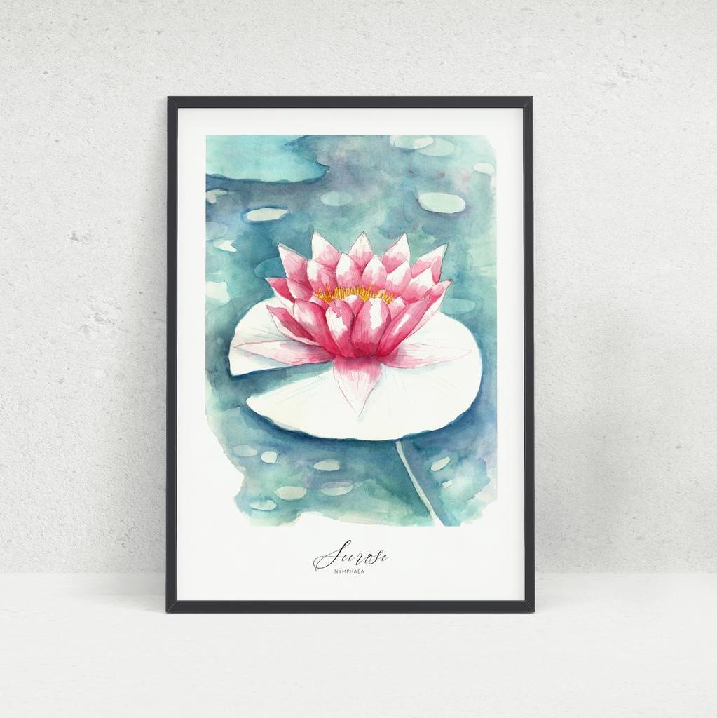 Kunstdruck Seerose
