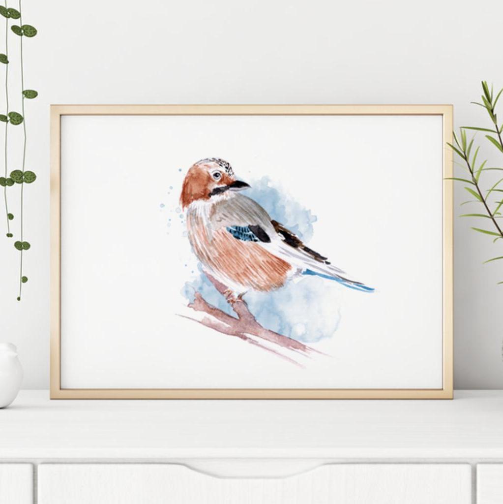 Illustration Eichelhäher