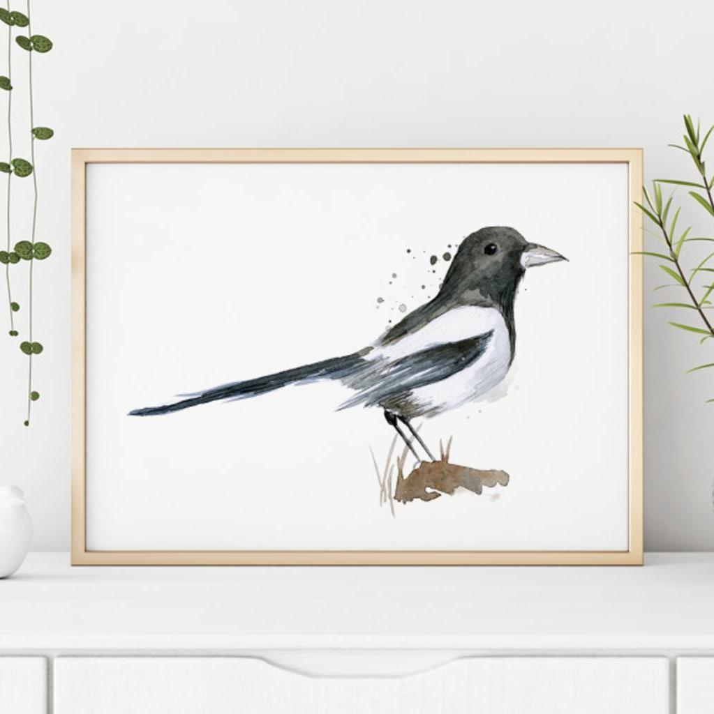 Illustration Elster