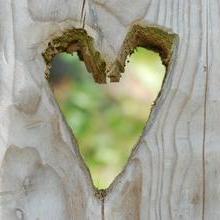 Holz von Herzen