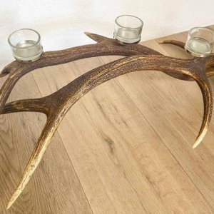 Adventdeko Hirschgeweih