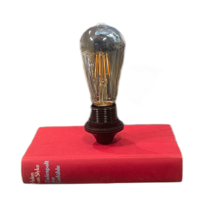 Bücherlampe - Zwiespalt der Gefühle