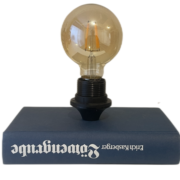 Bücherlampe - Löwengrube