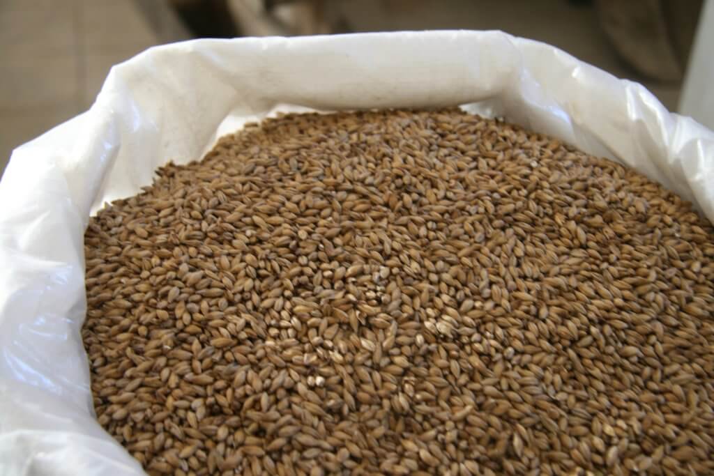 Malz – Das Herz des Bieres aus verschiedenen Getreidesorten